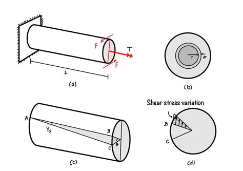 assumptions made in torsion test|examples of torsion problems.